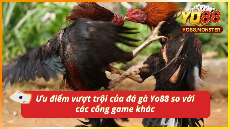 Đánh giá đá gà tại Yo88 so với các địa chỉ khác